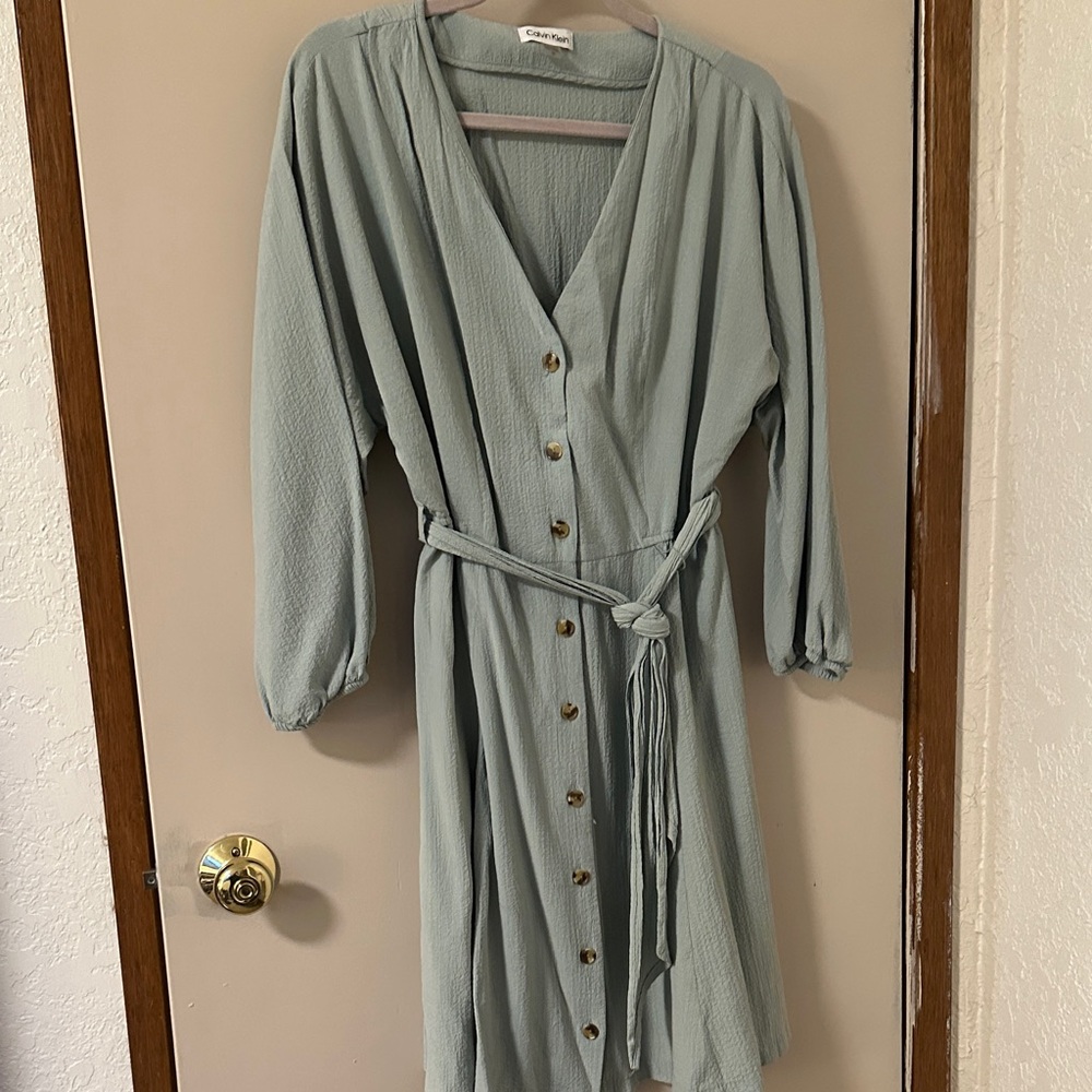 Calvin Klein Sage Button-Down Dress